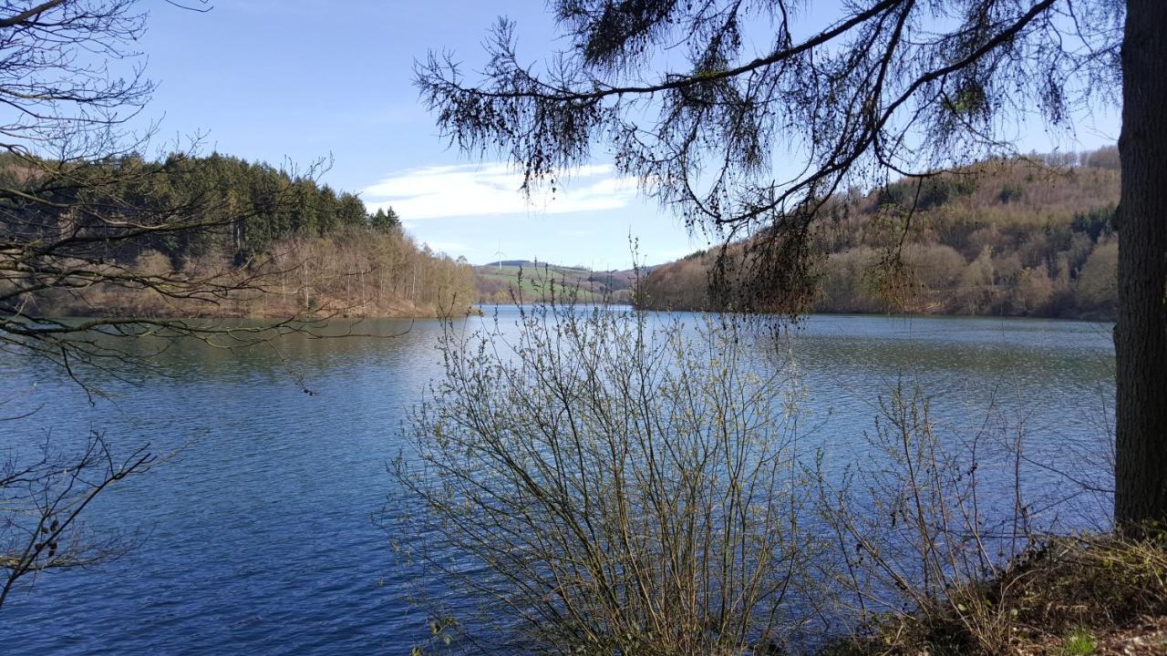 Appartamento Panoramahaus Sauerland Arnsberg Esterno foto